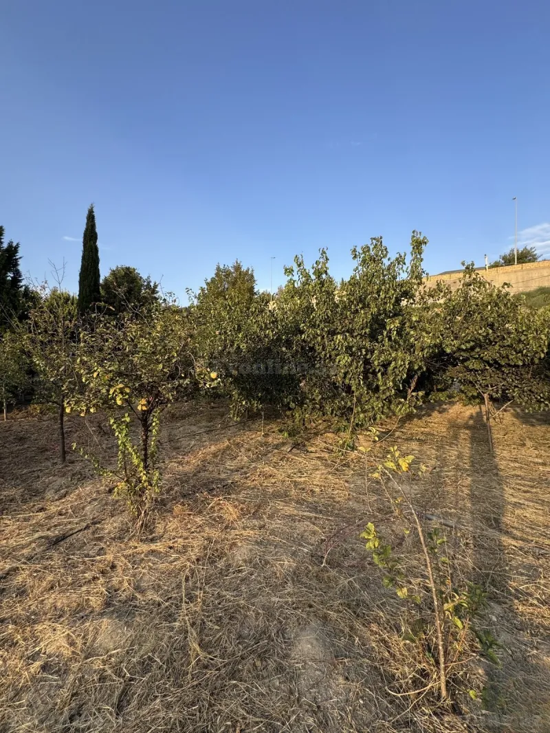 Satılır Torpaq 2 sot Bakı, Abşeron r., Novxanı — Torpaq, Bakı (4)