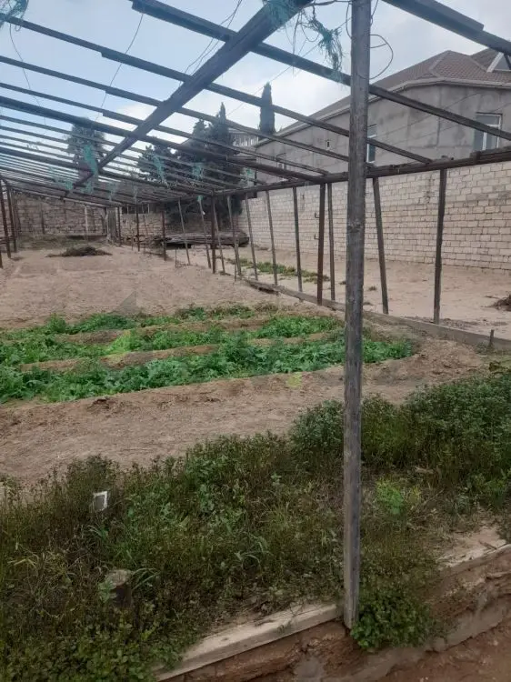 5 sot Torpaq Satılır, Buzovna, Xəzər, Bakı — Torpaq, Bakı (3)