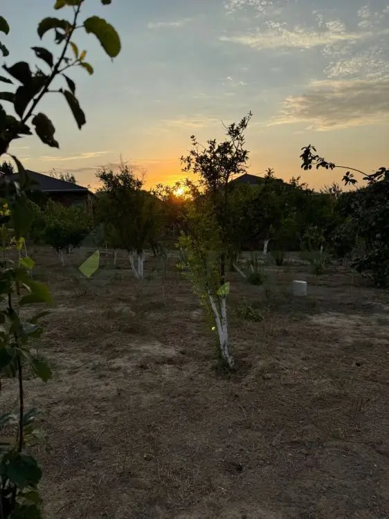 12 sot Torpaq Satılır, Saray, Abşeron — Torpaq (5)