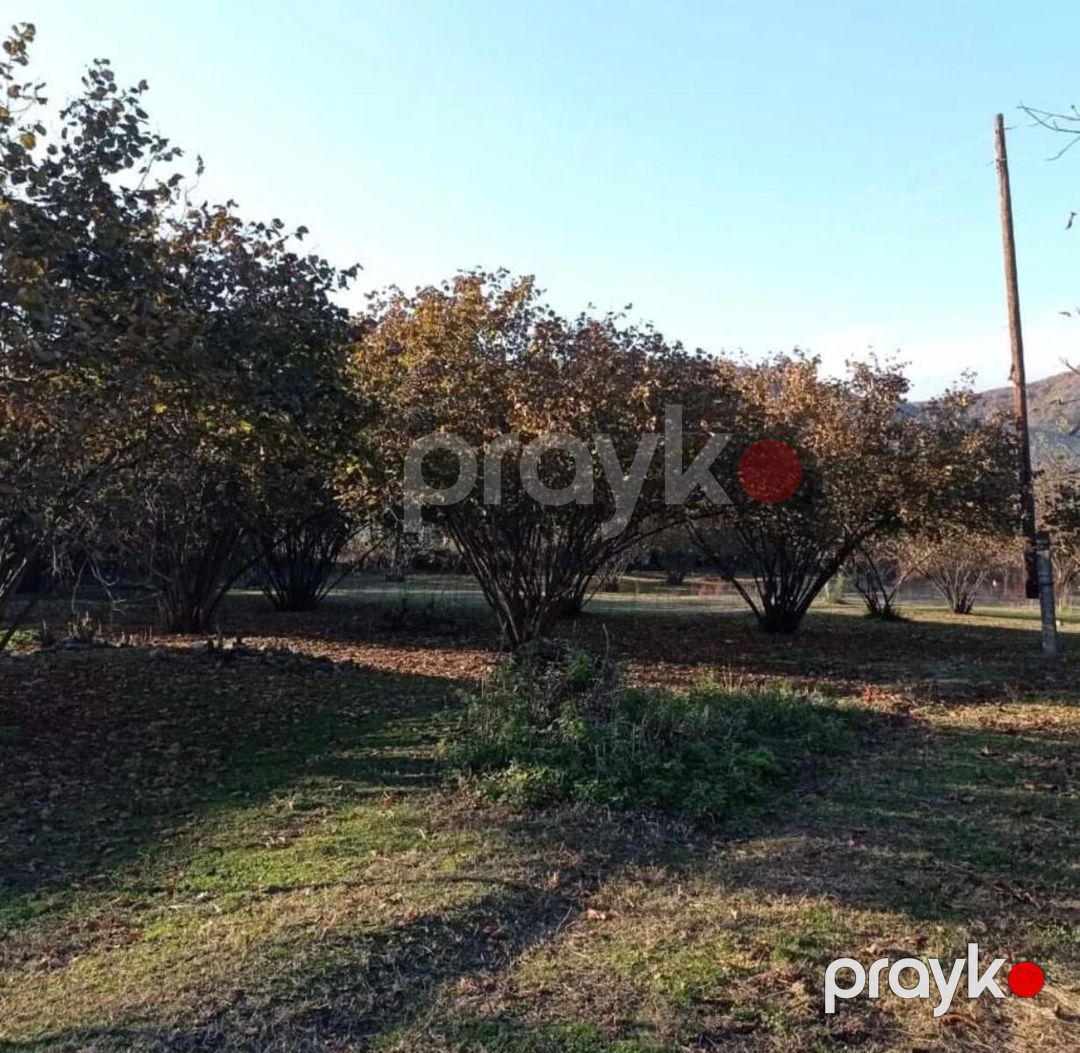 54 sot torpaq sahəsi, Zaqatala ş — Torpaq, Zaqatala (4)