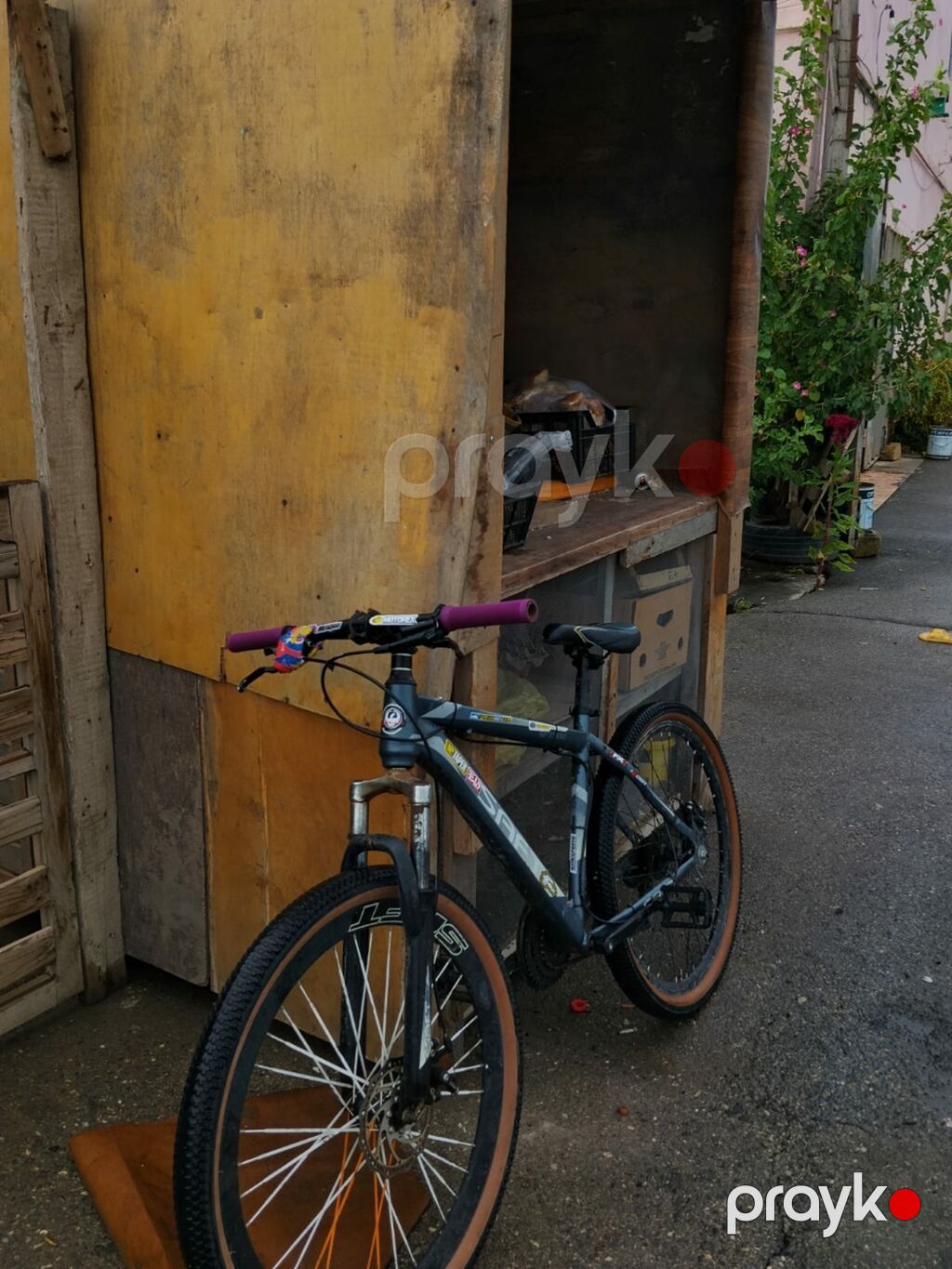 MTB tipli velosiped – Safıt Sport seriyası - Çərçivə: yüngül ərintili — Dağ velosipedləri, Bakı (5)