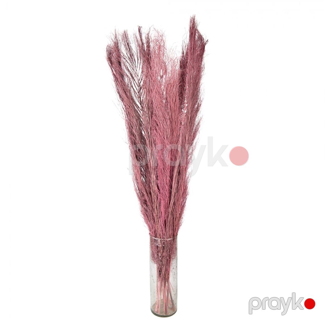 Qurudulmuş çiçəklər Clayre & Eef 5DF0015, 100 sm, qəhvəyi — Mallar, Bakı (3)