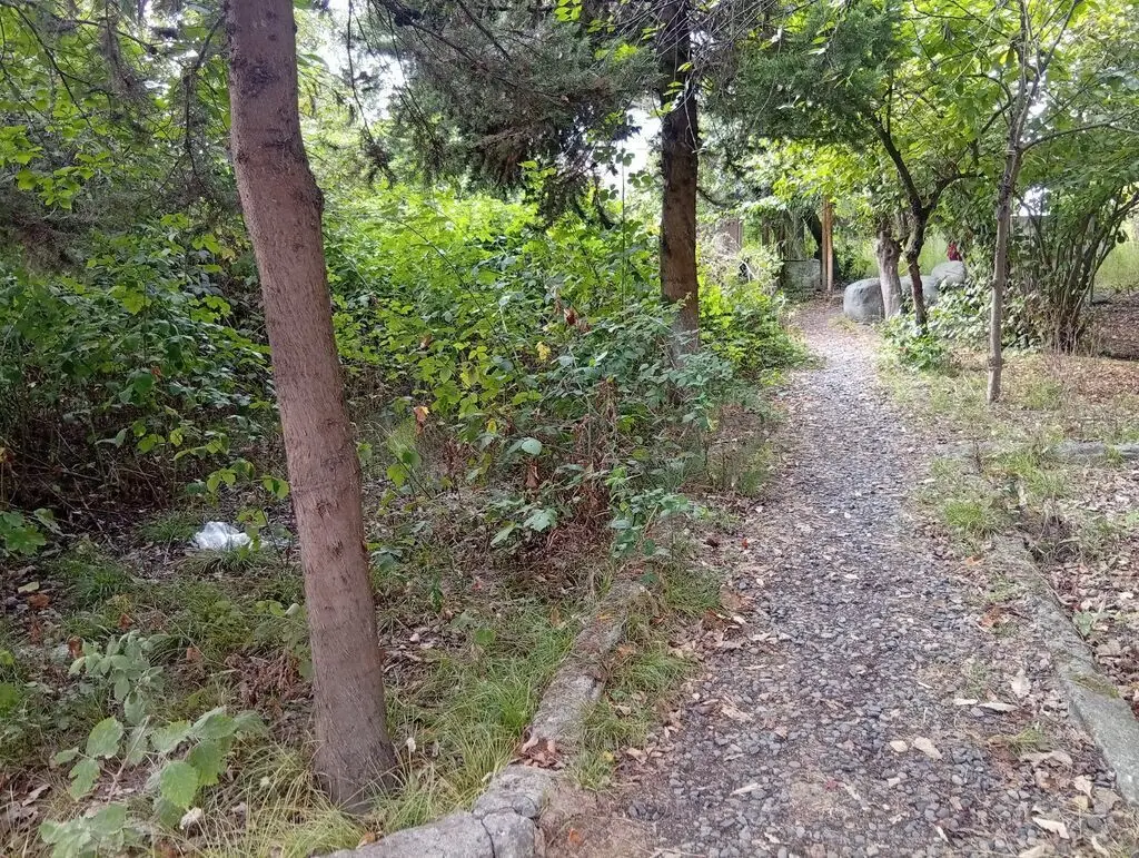 67 sot Torpaq Satılır, Lənkəran — Torpaq, Lənkəran (5)