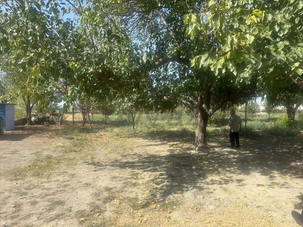 112 sot Torpaq Satılır, Göyçay — Torpaq, Göyçay (3)
