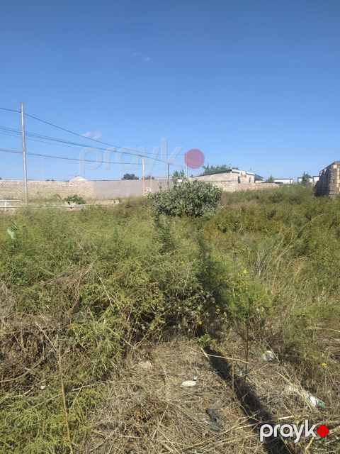 Torpaq sahəsi, 7 sot, Bağ təyinatlı, Müqaviləli, Sea breezze hosbitalin yaxinligi, Bakı — Bakı