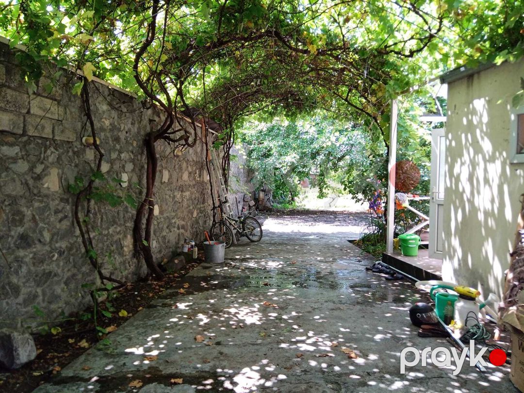Satılır 3 otaqlı həyət evi/bağ evi 110 m² — Ev, villa, Şəki (6)