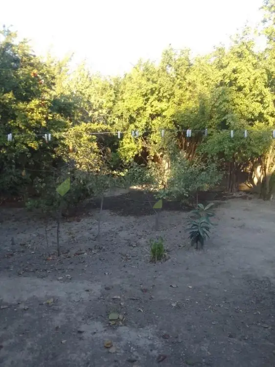 4 otaqlı Həyət evi Satılır, Yevlax — Ev, villa, Yevlax (3)