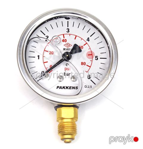Manometr gliserin dolğulu (0-6 Bar 63 mm 1,4") Pakkens 0631001106 — Bakı