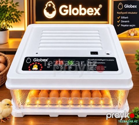 İnkubator 70 yumurtalıq — Bakı