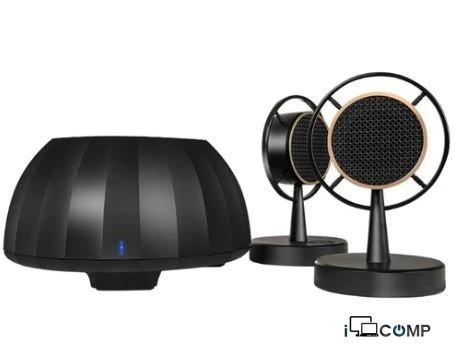 MicroLab MicMusic Wireless Acustic System — Bakı