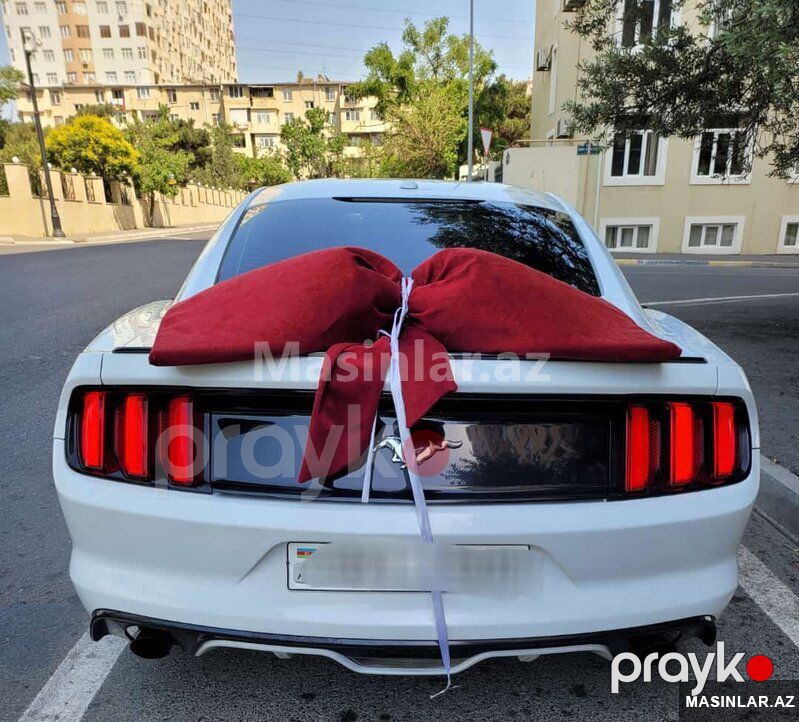 Ford Mustang coupe, 2017 il — Minik avtomobili icarəsi, Bakı (10)