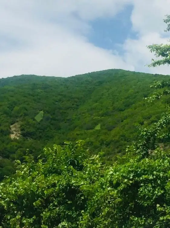 4 otaqlı Həyət evi Kirayə (günlük), Şəki — Ev, villa, Şəki (12)