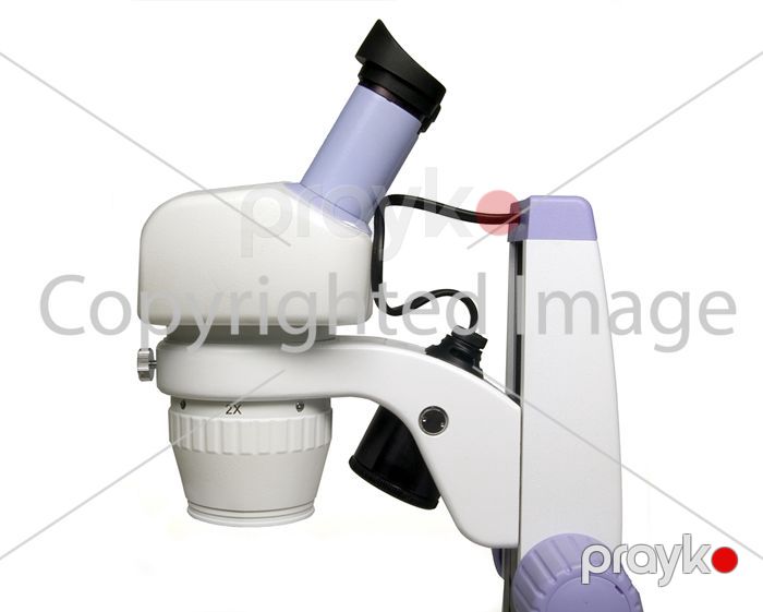 Mikroskop Levenhuk (bioloji) 5ST 35321 — Mikroskoplar, Bakı (5)