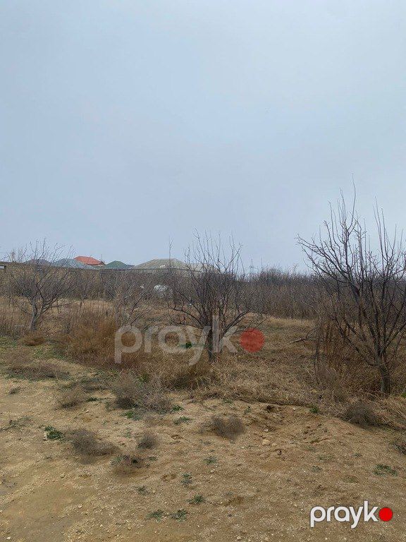 Satılır torpaq 50 sot — Torpaq, Bakı (8)