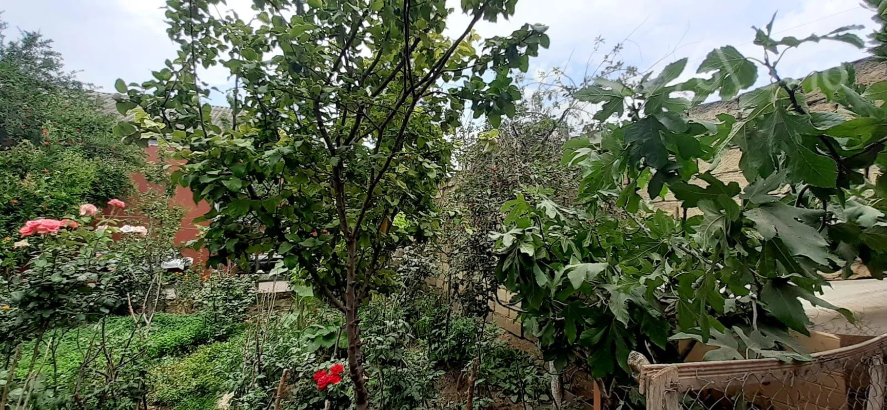 4 otaqlı həyət evi, 120 m², Məmməd Səid Ordubadi küc — Ev, villa, Bakı (12)