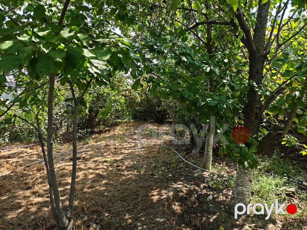 10 sot torpaq sahəsi, Xırdalan ş — Torpaq, Xırdalan (5)