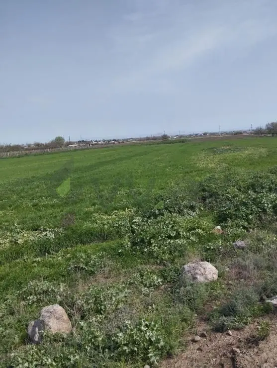 200 sot Torpaq Satılır, Samux — Torpaq, Samux (3)