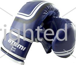 Sparring əlcəklər Absolute Champion 1412 — Bakı