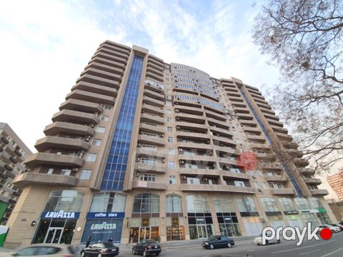 3-otaqlı yeni tikili kirayə verilir, 28 May m., 170 m² — Bakı