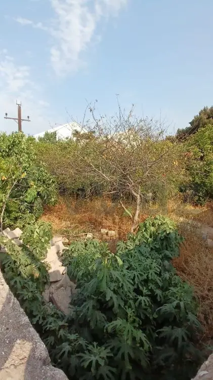 3 sot Torpaq Satılır, Bakıxanov qəs., Sabunçu, Bakı — Torpaq, Bakı (6)