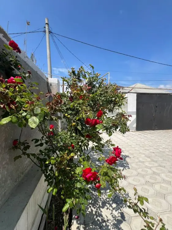 3 otaqlı Həyət evi Satılır, Məhəmmədli, Abşeron — Ev, villa (12)