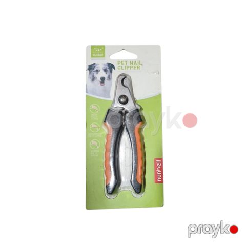 Dırnaqtutan Nunbell, 12 sm, narıncı/qara — Bakı