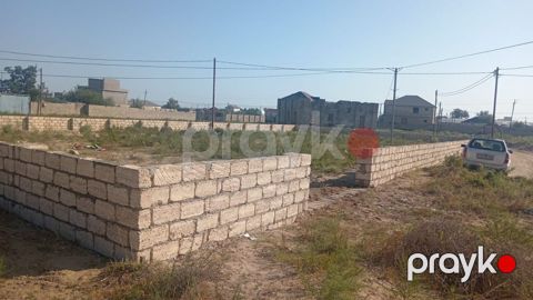 12 sot, Tikinti, Mülkiyyətçi, Kupça (Çıxarış), Bələdiyyə, Texniki pasport — Mehdiabad