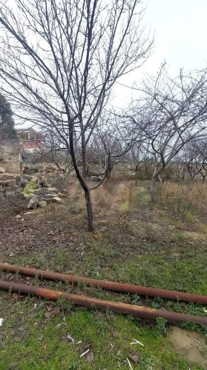 4 otaqlı Həyət evi Satılır, Bakıxanov qəs., Sabunçu, Bakı — Ev, villa, Bakı (9)