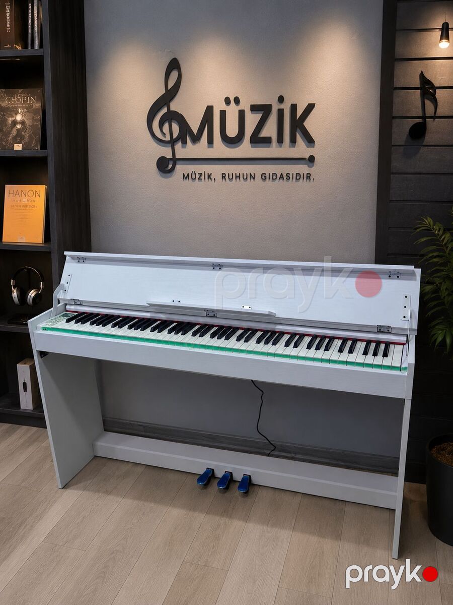 Elektro piano Solfeggio — Musiqiə alətləri, Bakı (3)