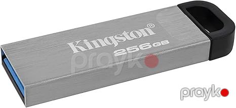 USB flash drive (DTKN/256GB) — Periferik cihazlar, Bakı (2)