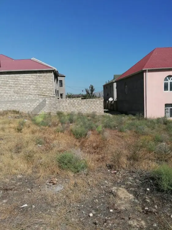 4 sot Torpaq Satılır, Saray, Abşeron — Torpaq (2)