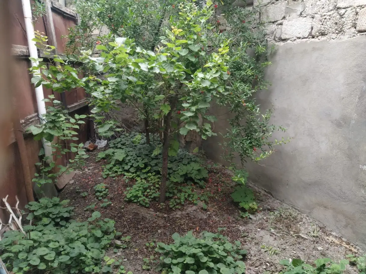 4 otaqlı Həyət evi Satılır, Bakıxanov qəs., Sabunçu, Bakı — Ev, villa, Bakı (10)