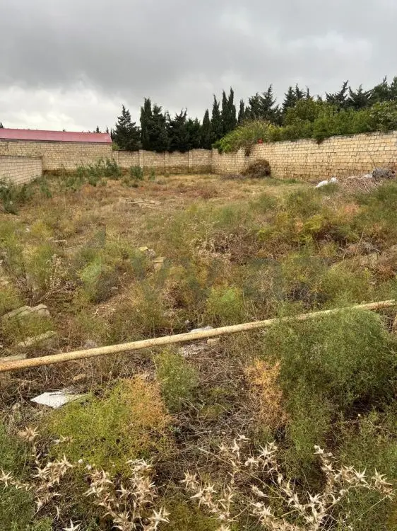 8 sot Torpaq Satılır, Novxanı, Abşeron — Torpaq (5)