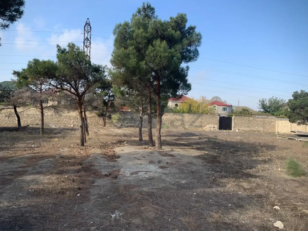 38 sot Torpaq Satılır, Bakıxanov qəs., Sabunçu, Bakı — Torpaq, Bakı (3)