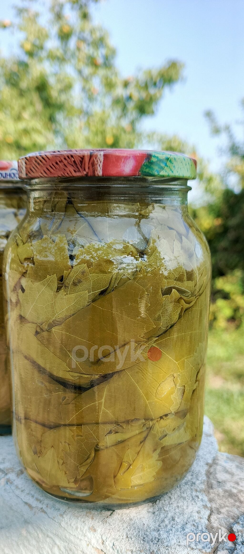 Ev şəraitində duzlu üzümdən yarpaq – bankalarda - Məhsul: Dolma üçün — Qida məhsulları, Salyan (2)