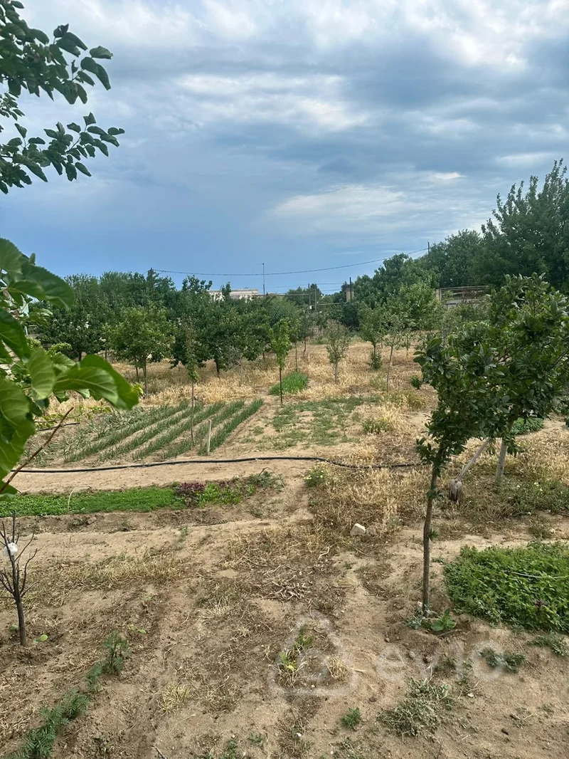 3 otaqlı həyət evi, 90 m², Bilgəh qəsəbəsi 142 nömrəli məktəbin yaxınlığı — Ev, villa, Bakı (12)