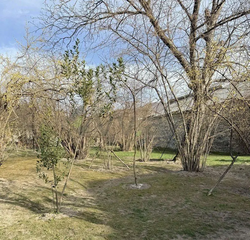 8 sot Torpaq Satılır, Şəki — Torpaq, Şəki (2)