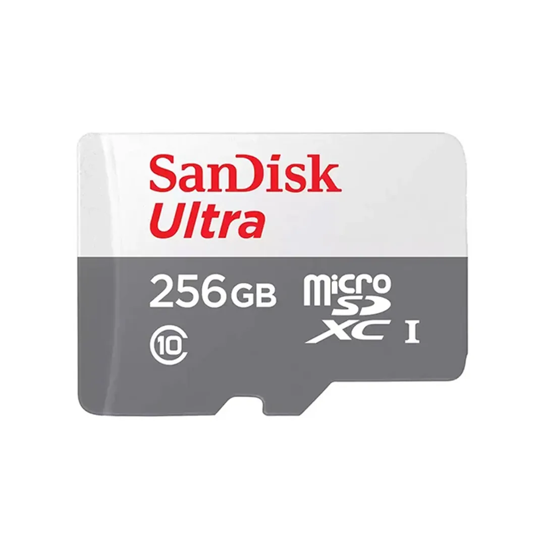 Yaddaş kartı SanDisk Micro 256GB Ultra 100MB (SDSQUNR-256G-GN3MN) — Bakı