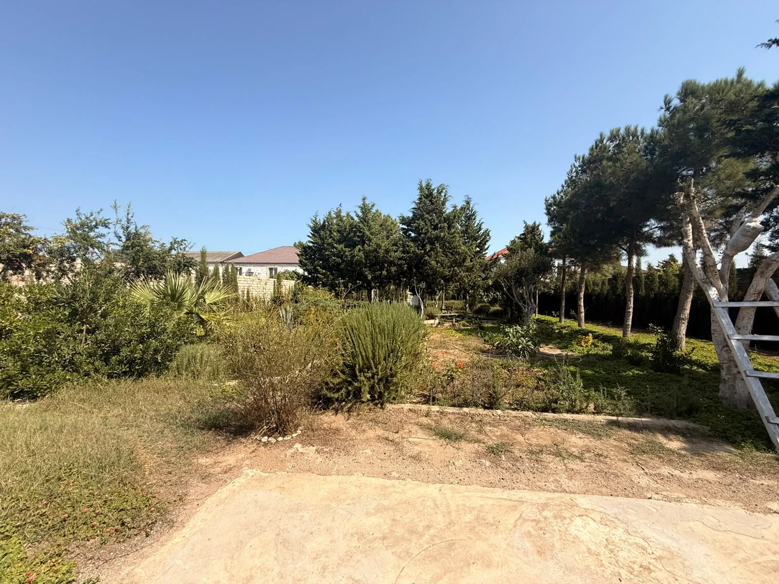 Mərdəkan, Torpaq satılır - 13.2 sot — Torpaq, Bakı (6)
