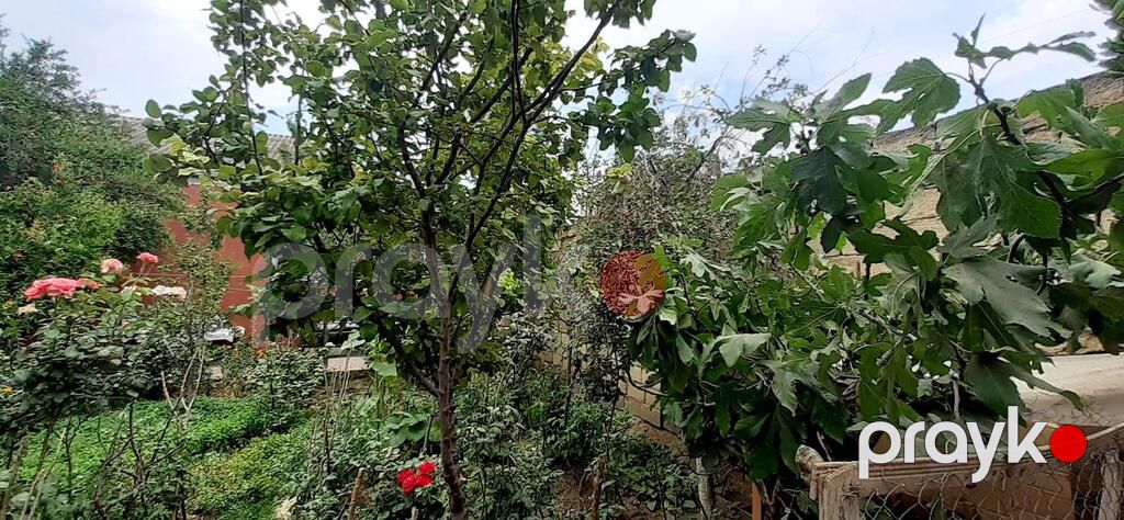 Satılır 4 otaqlı həyət evi/bağ evi 120 m² — Ev, villa, Bakı (12)
