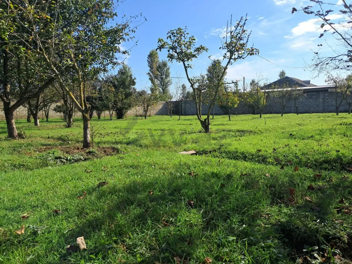 200 sot Torpaq Satılır, Xaçmaz — Torpaq, Xaçmaz (7)