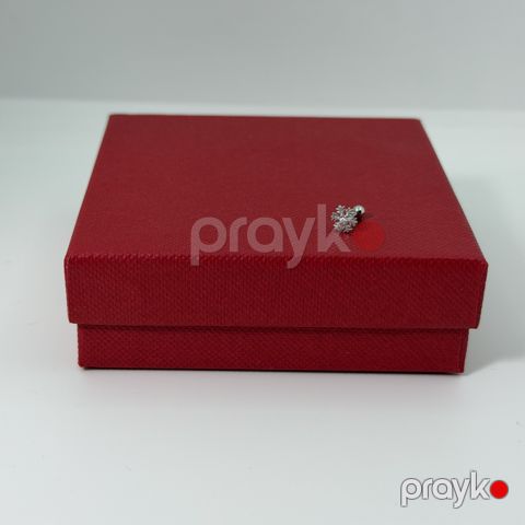 Pirsinq üçün sırğa GC1074, gümüş 925 əyar — Bakı