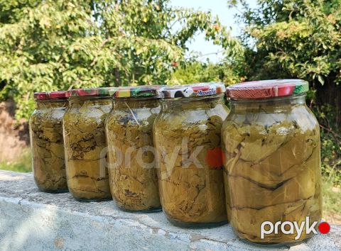 Ev şəraitində duzlu üzümdən yarpaq – bankalarda - Məhsul: Dolma üçün — Salyan
