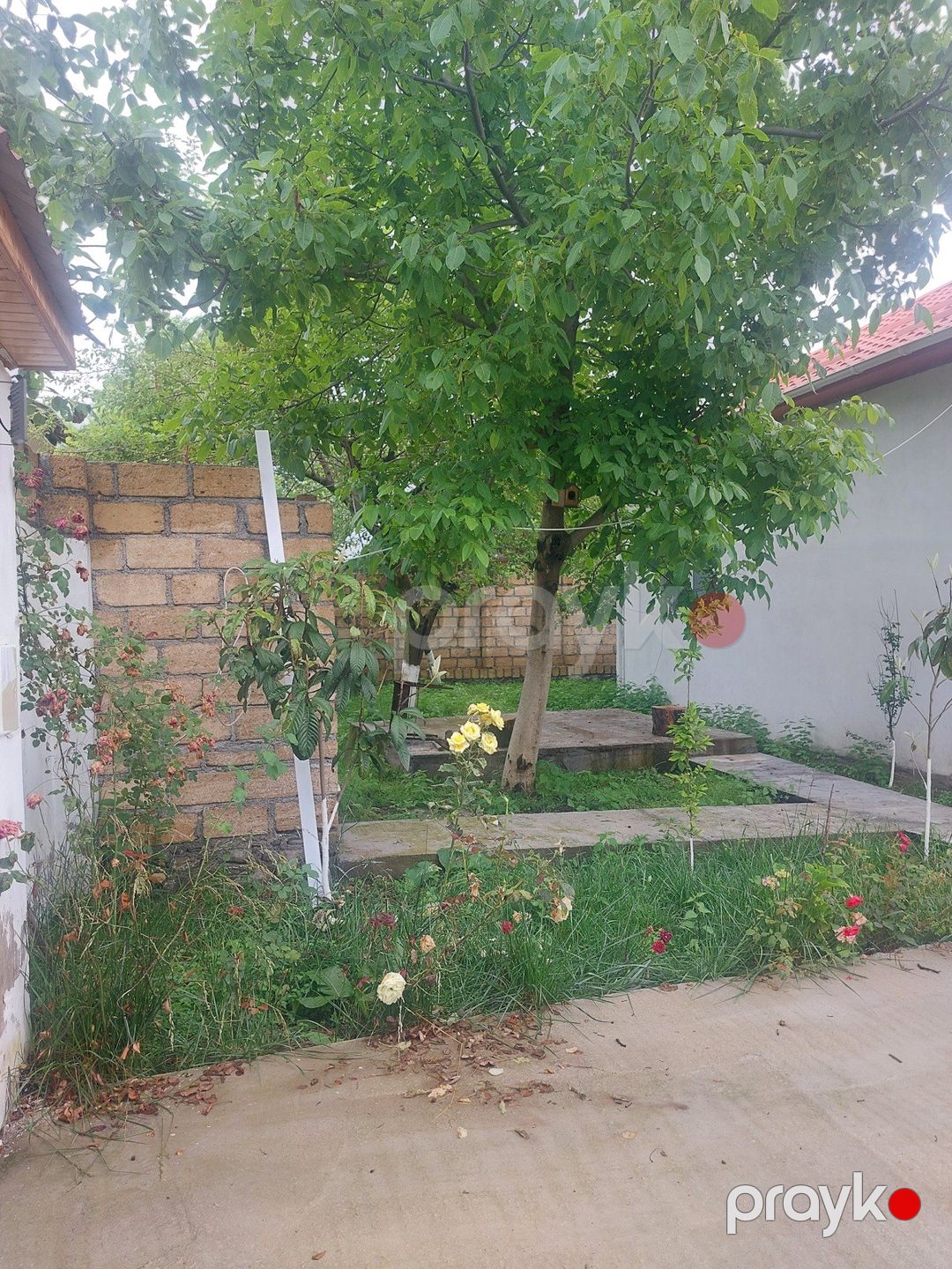 Satılır 3 otaqlı həyət evi/bağ evi 110 m² — Ev, villa, Qəbələ (9)
