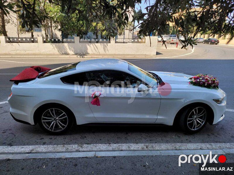 Ford Mustang coupe, 2017 il — Minik avtomobili icarəsi, Bakı (8)