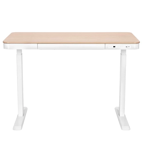 2E CE218D-Motorized Gaming Desk — Kompüterlər və noutbuklar, Bakı (2)