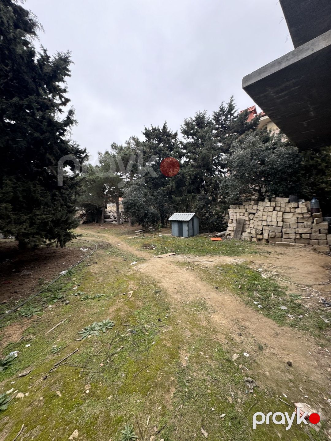 Satılır torpaq 25 sot — Torpaq, Bakı (7)