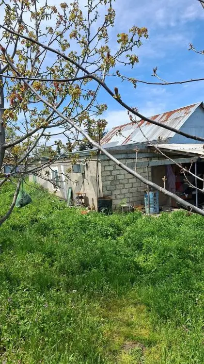 10 sot Torpaq Satılır, Şabran — Torpaq, Şabran (6)