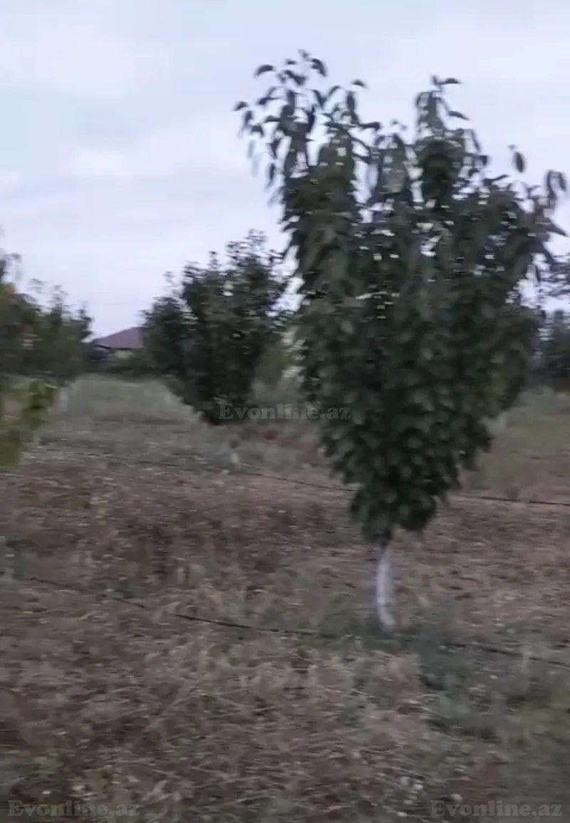 Satılır Torpaq 100 sot Qusar — Qusar