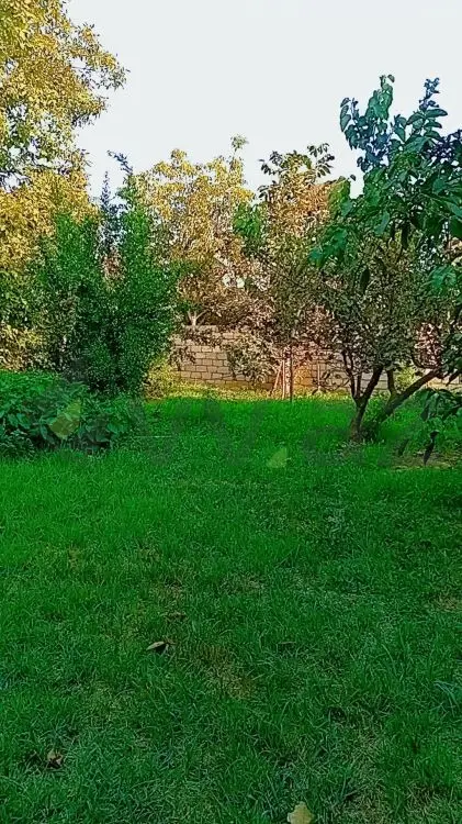 7 sot Torpaq Satılır, Ağcabədi — Torpaq, Ağcabədi (2)